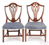 PAIR OF FEDERAL MAHOGANY SHIEL