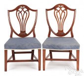 PAIR OF FEDERAL MAHOGANY SHIEL