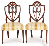 PAIR OF FEDERAL MAHOGANY SHIEL