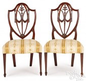 PAIR OF FEDERAL MAHOGANY SHIEL