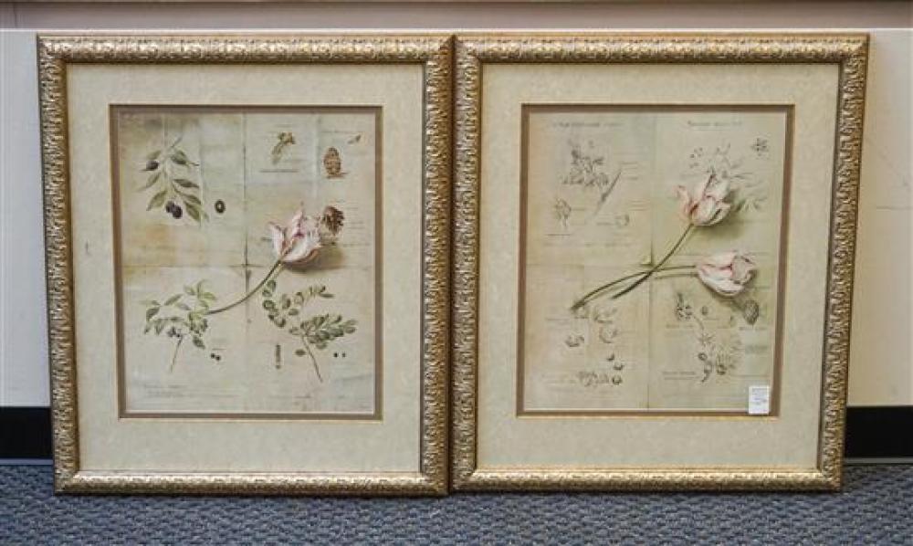 PAIR OF FRAMED BOTANICAL COLOR