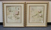 PAIR OF FRAMED BOTANICAL COLOR