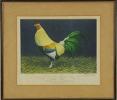 PAIR OF FRAMED COLORED COCK''
