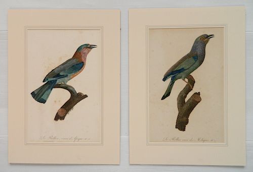 PAIR OF FRENCH ORNITHOLOGY