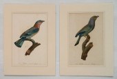 PAIR OF FRENCH ORNITHOLOGY PRI