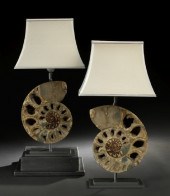 Pair of French Prehistoric Fos