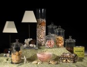 Pair of French Seashell and Wh