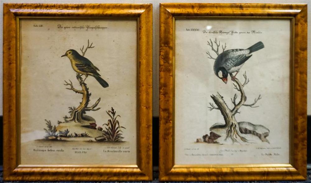 PAIR OF GERMAN ORNITHOLOGICAL