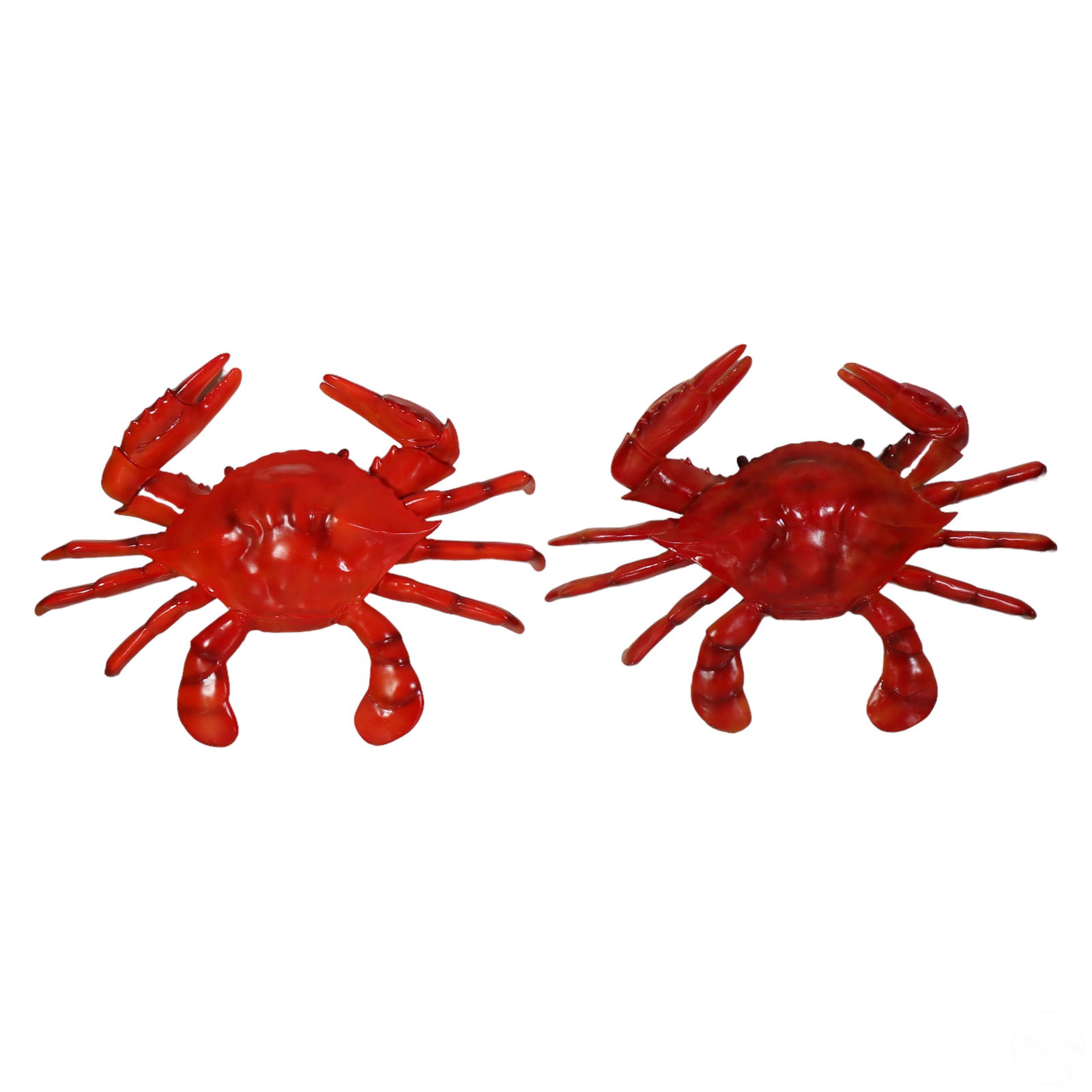PAIR OF GIGANTIC 74" DEEP SEA RED