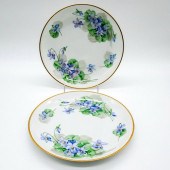 PAIR OF HUTSCHENREUTHER SELB P