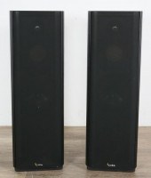 PAIR OF INFINITY KAPPA 6.1 SPE