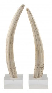 * PAIR OF LARGE UNENGRAVED WAL