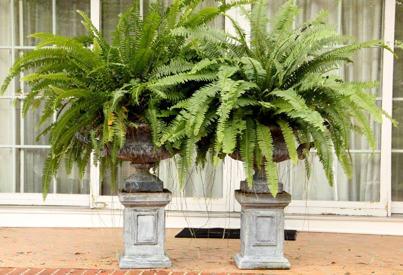 Pair of Lead Garden Urns on