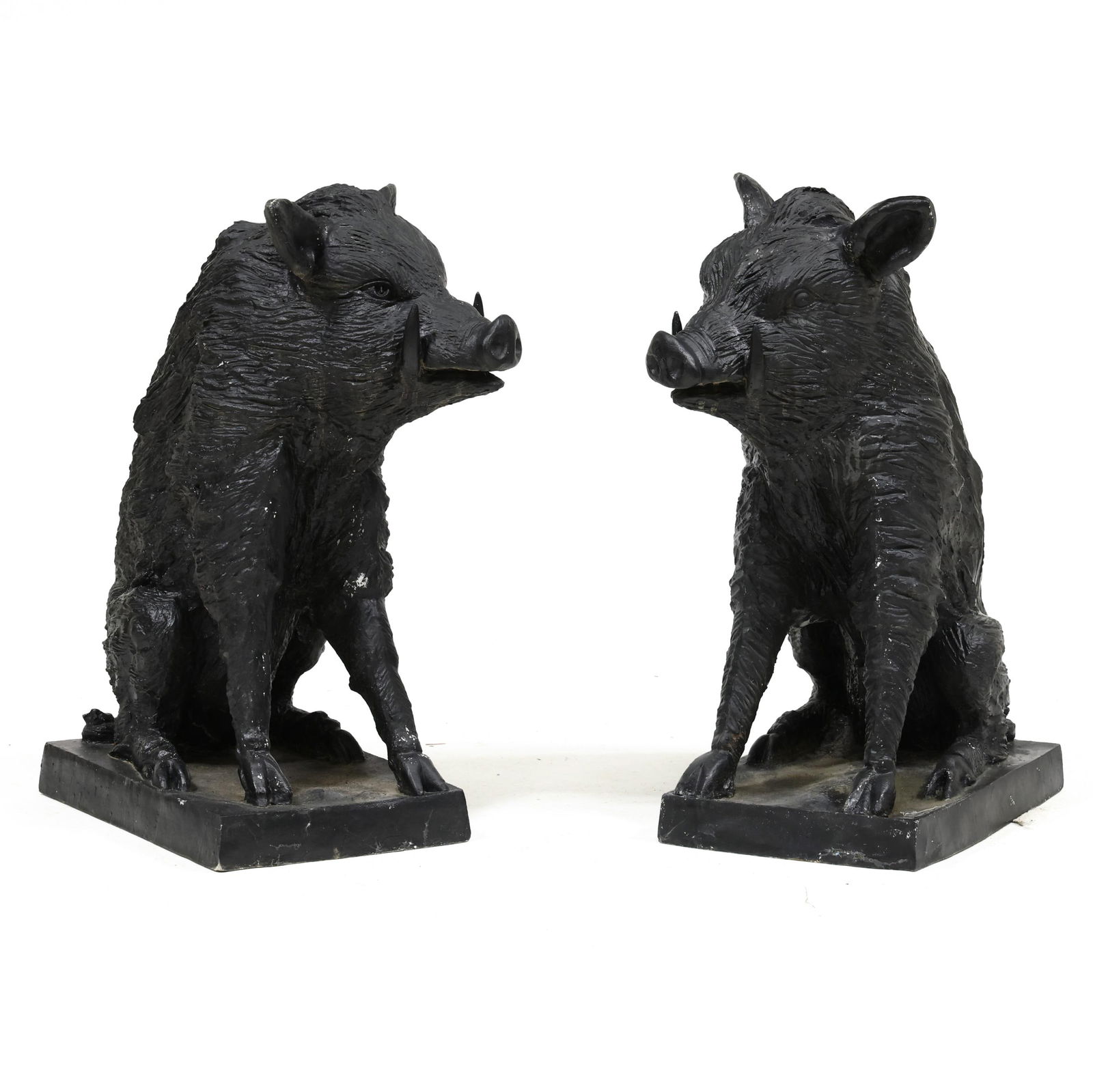 PAIR OF LIFE-SIZE WILD BOAR