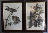 Pair of Limited Edition Audubo