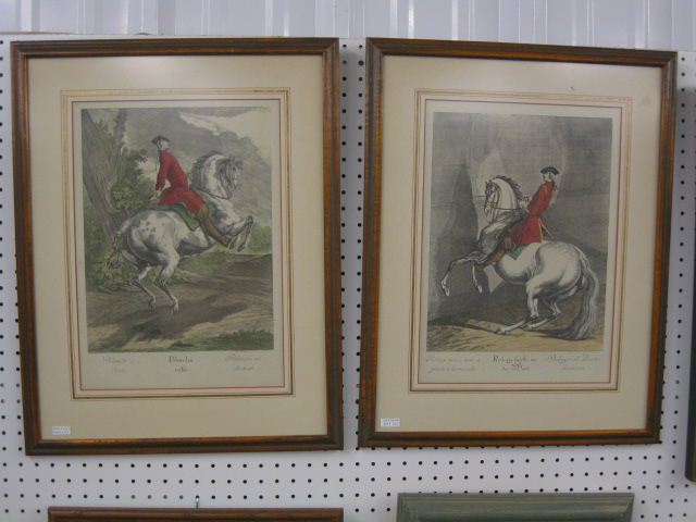 Pair of Lipizzaner Stallions