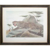 Pair of Lithographs by Wildlif