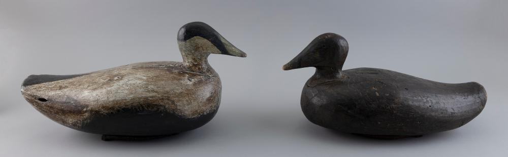 PAIR OF MAINE EIDER DECOYS EARLY