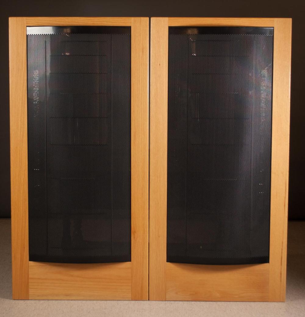 PAIR OF MARTIN LOGAN CLS