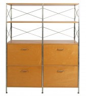 PAIR OF MODERNICA CASE STUDY B