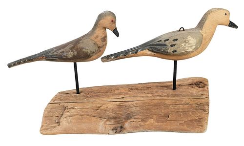 PAIR OF MOURNING DOVE
