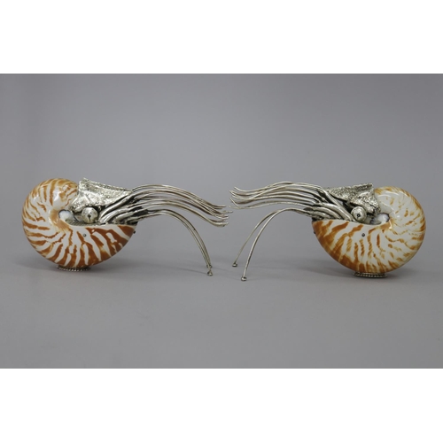 Pair of nautilus shell ornaments,