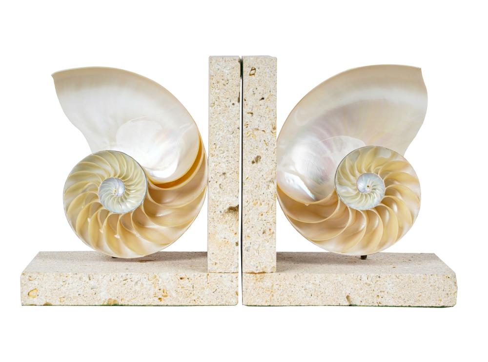 PAIR OF NAUTILUS SPECIMEN