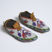 Pair of Northern Plains Pictor