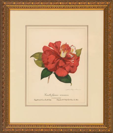 Pair of Offset Botanical