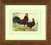 Pair of Offset Chromolithograp