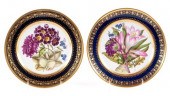 PAIR OF OLD PARIS DARTE BOTANI