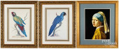 PAIR OF ORNITHOLOGICAL PRINTS,