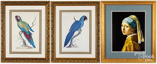 PAIR OF ORNITHOLOGICAL PRINTS,