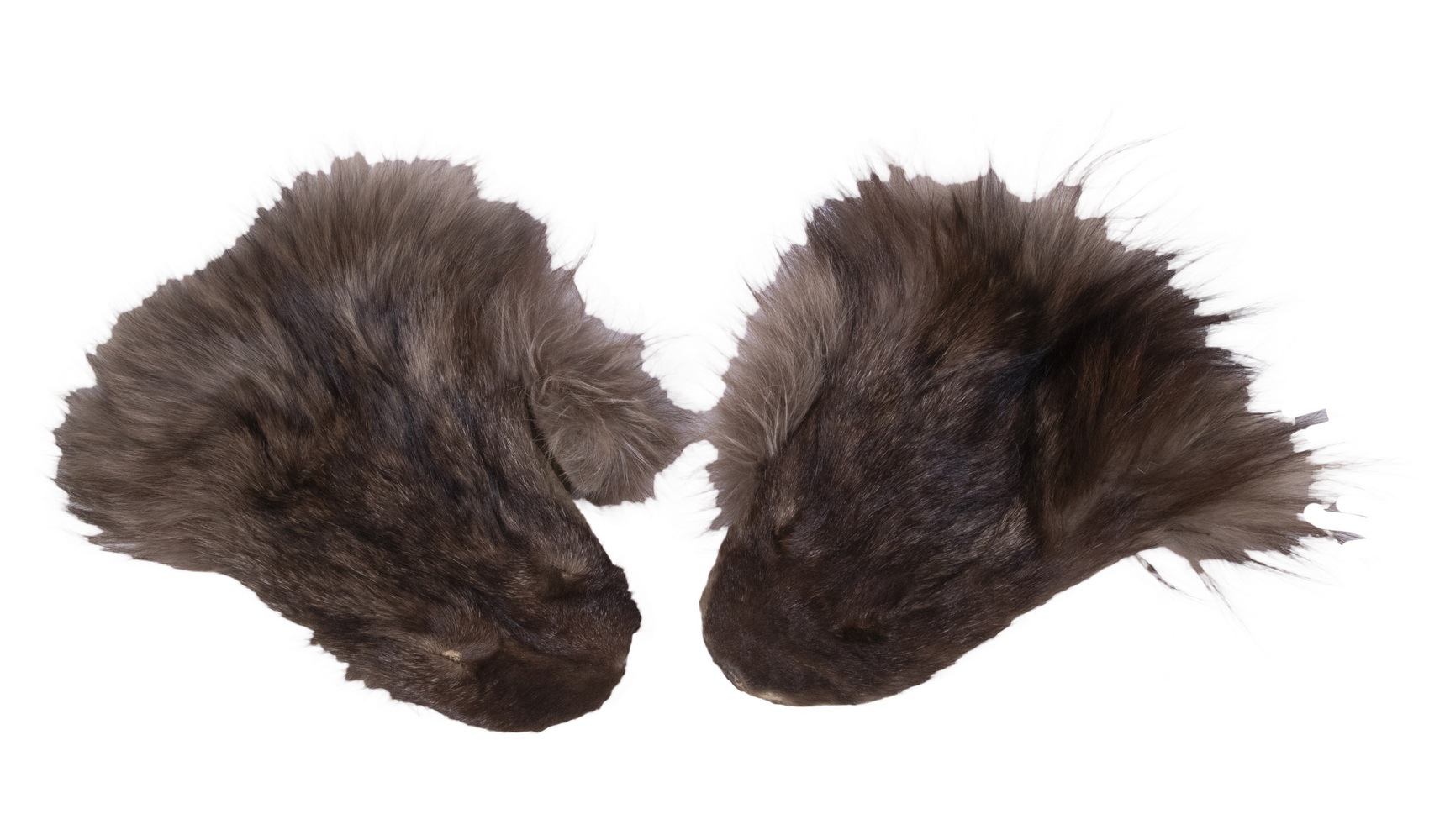 PAIR OF OTTER HEAD MITTS, ALASKAN