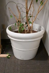 PAIR OF OUTDOOR EARTHENWARE PL