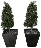 PAIR OF OUTDOOR PLANTERSPair o