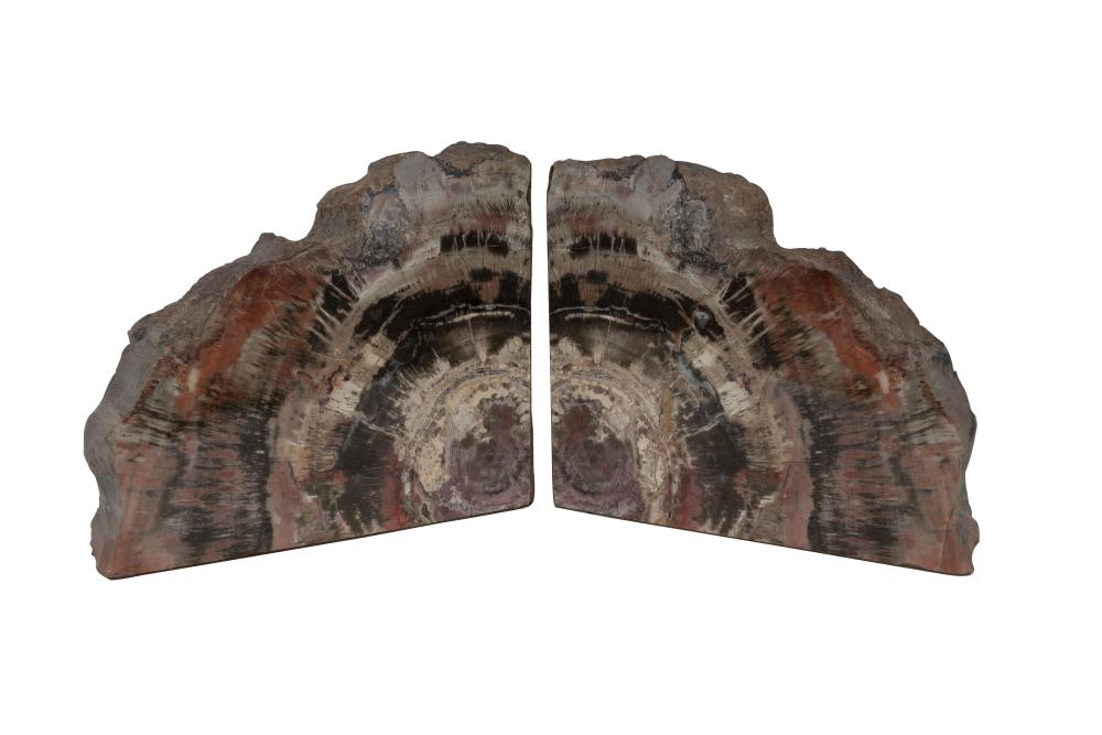 PAIR OF PETRIFIED WOOD