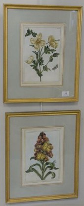 PAIR OF PIERRE JOSEPH BUCHOZ (