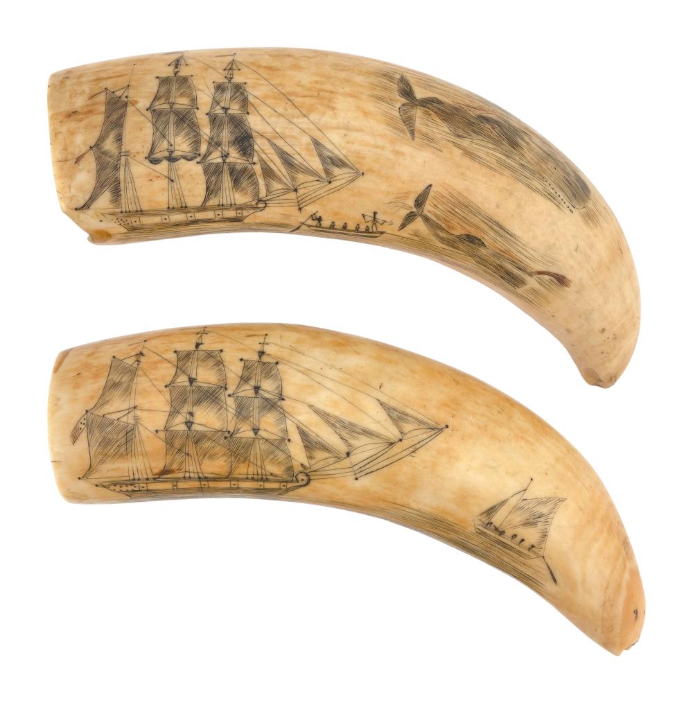 PAIR OF POLYCHROME SCRIMSHAW