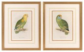 PAIR OF PRINTS DEPICTING PARRO