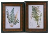 PAIR OF REPLICA PHOTOLITHO PRI