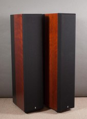 PAIR OF REVEL PERFORMA F52 TOW