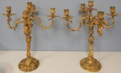 PAIR OF ROCOCO STYLE GILT BRAS