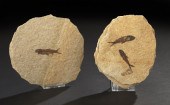 Pair of Sandstone Plates with