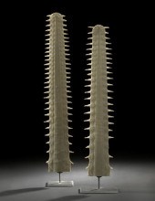 Pair of Sawfish Rostra,  each
