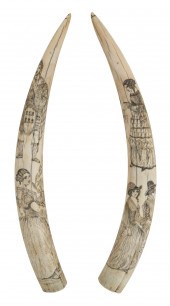 PAIR OF SCRIMSHAW WALRUS TUSKS