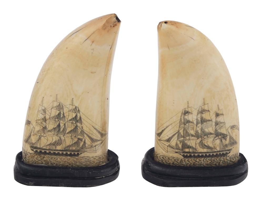PAIR OF SCRIMSHAW WHALE'S TEETH
