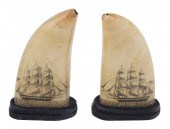 PAIR OF SCRIMSHAW WHALE'S TEET