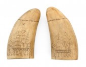 PAIR OF SCRIMSHAW WHALE'S TEET