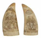 PAIR OF SCRIMSHAW WHALE’S TEET